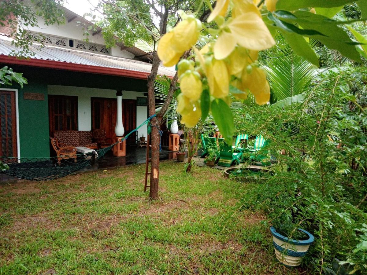 Sigiriya Village Home Stay Exteriör bild