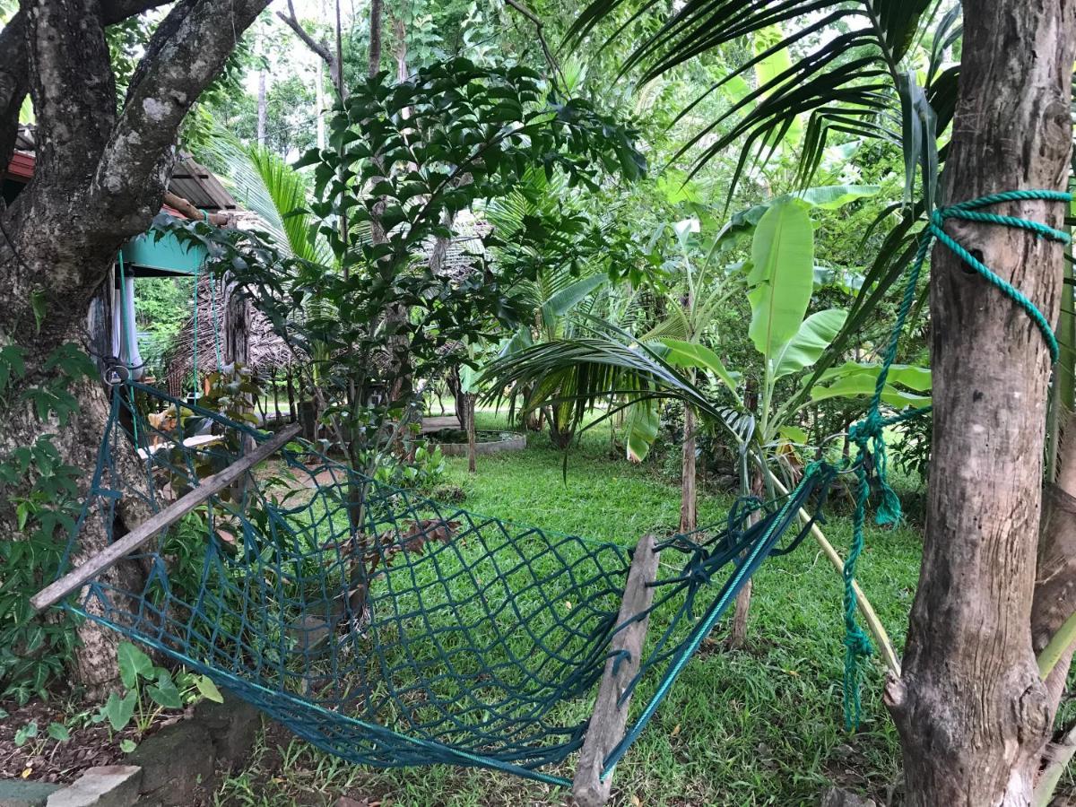 Sigiriya Village Home Stay Exteriör bild